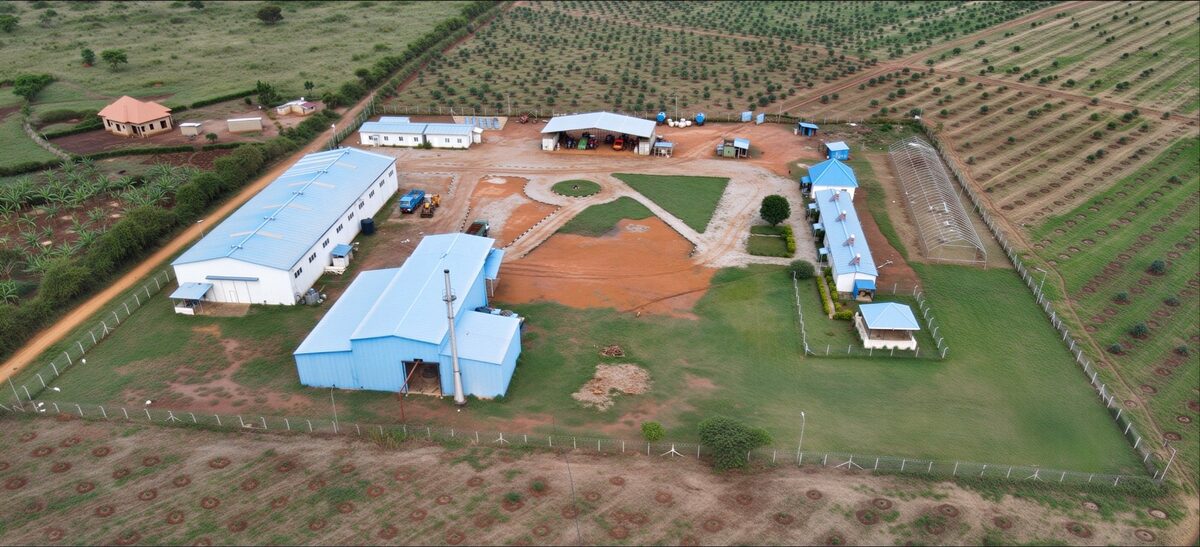 Pearl of Africa farm compound