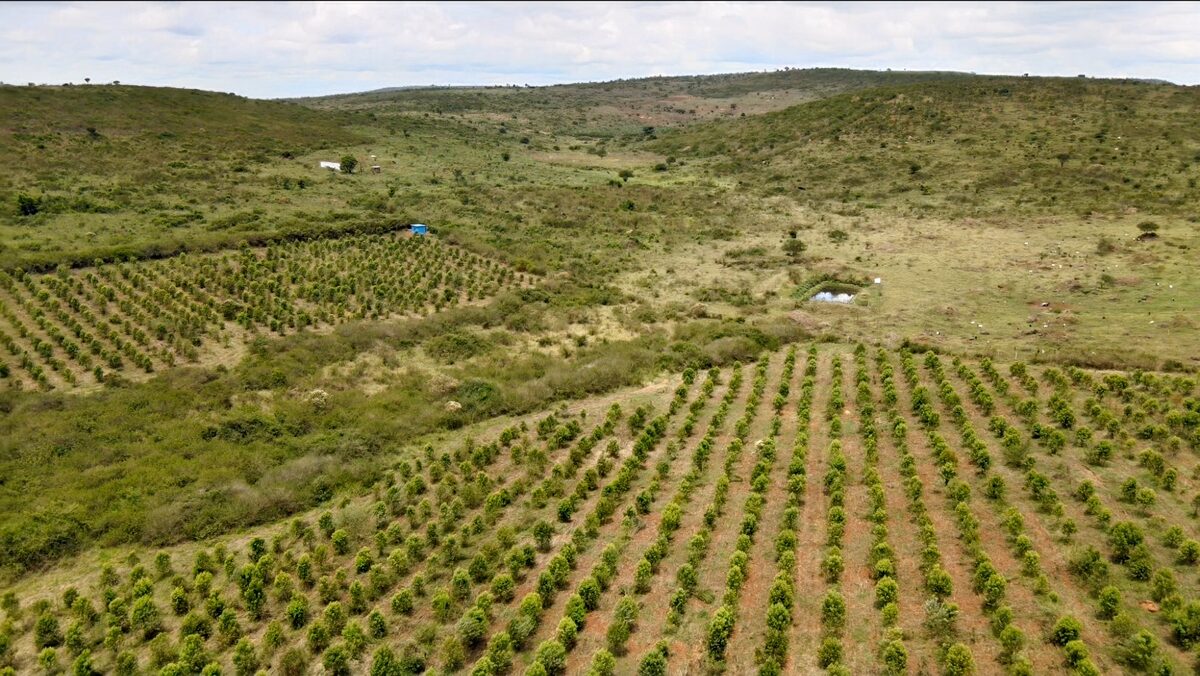 Water infrastructure